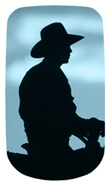 DAROYAL 360 BL Cowboy Blue